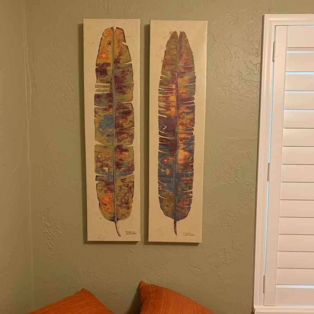 Colorful pair of feather wall art